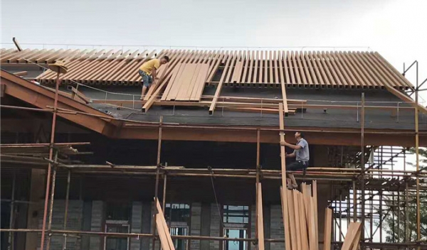 展示图片4